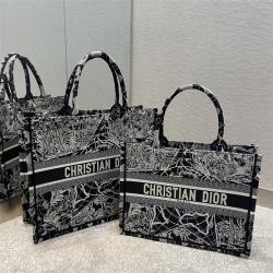 DIOR迪奥官网Around the World 图案刺绣BOOK TOTE 手袋