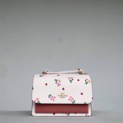 奢侈品代购COACH蔻驰美国官网C7596 Klare翻盖链条风琴包